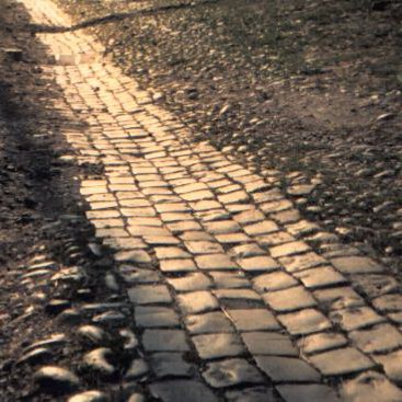 a Pals-kz ltalunk is oly kmletlenl koptatott kvei